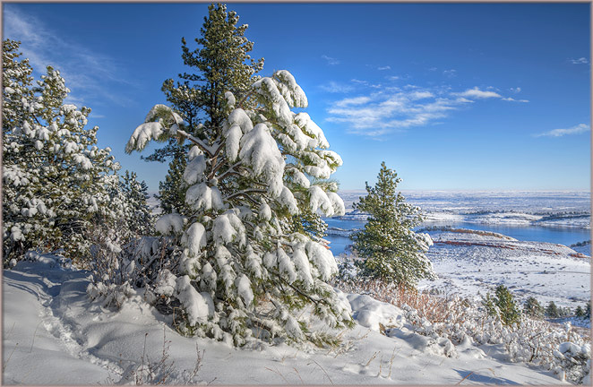 Lory State Park in winter with snow on trees